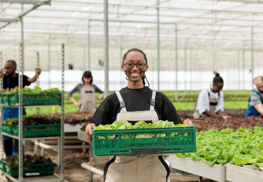 Les métiers agricoles les plus recherchés au Cameroun en 2026