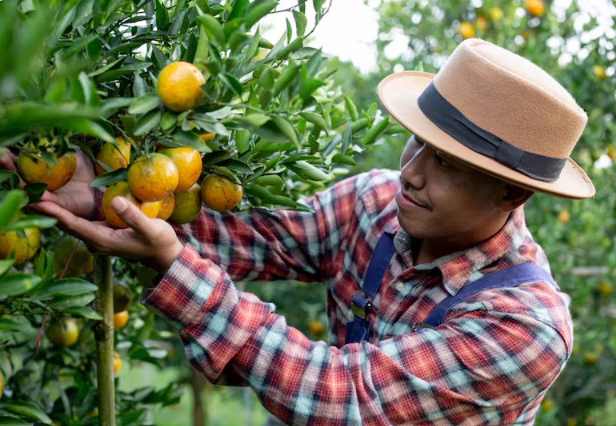 Comment améliorer la productivité de son exploitation grâce à une main-d’œuvre qualifiée ?